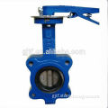 hand lever lug butterfly valve